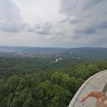 Kanyar Vendégház Hotel Pécs Kültér fotó